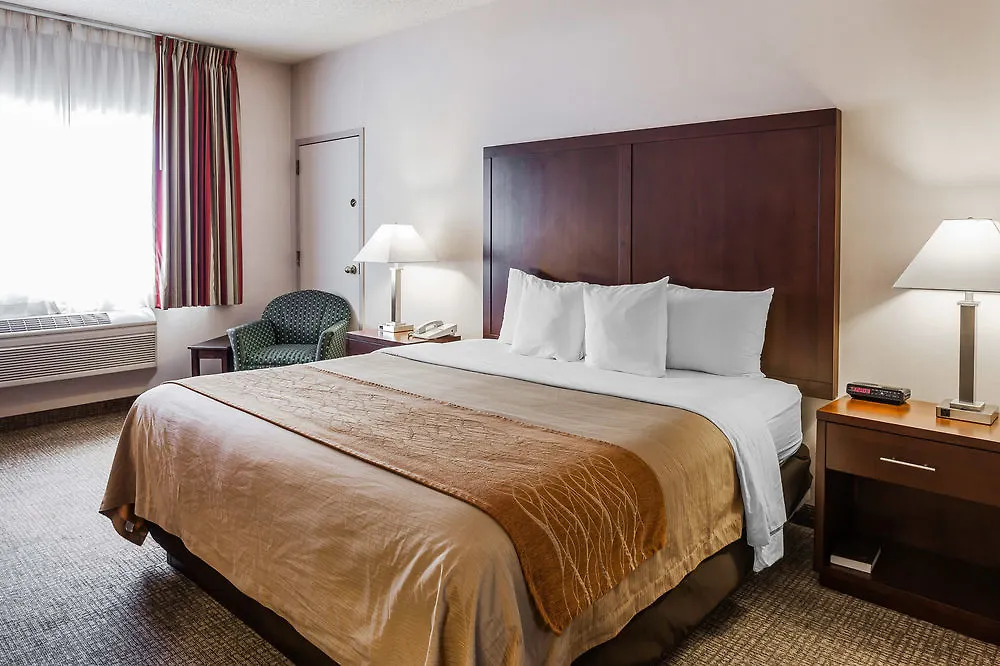 Hotel Comfort Inn & Suites Seattle North