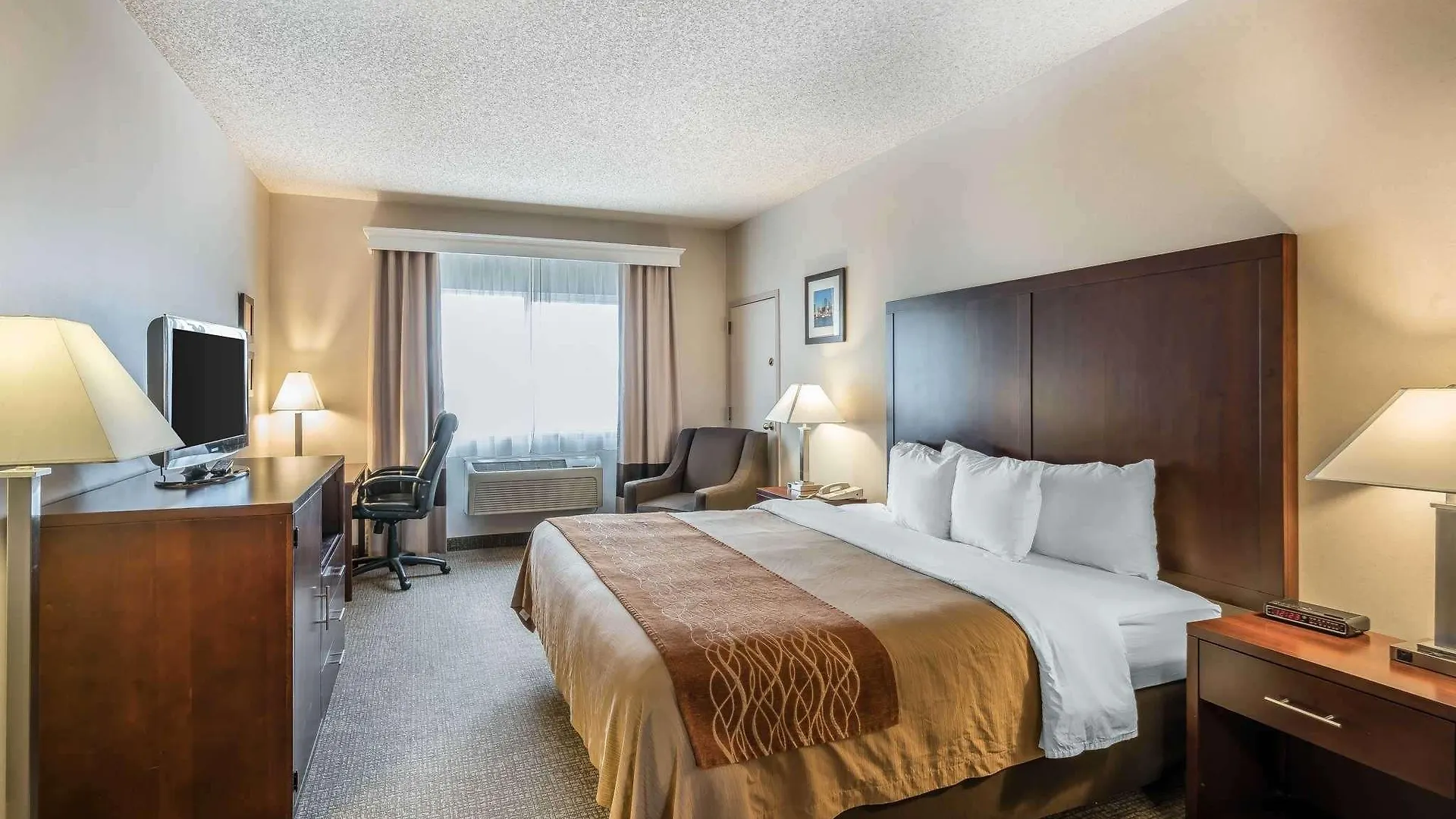 Comfort Inn & Suites Seattle North